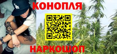 стафф Заводоуковск