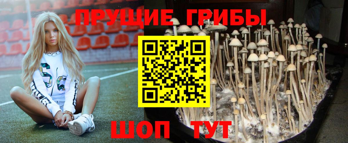 Миасс  Псилоцибиновые грибы Magic Shrooms  Галлюциногенные грибы мухоморы  Вход с VPN 